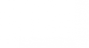 blank placeholder